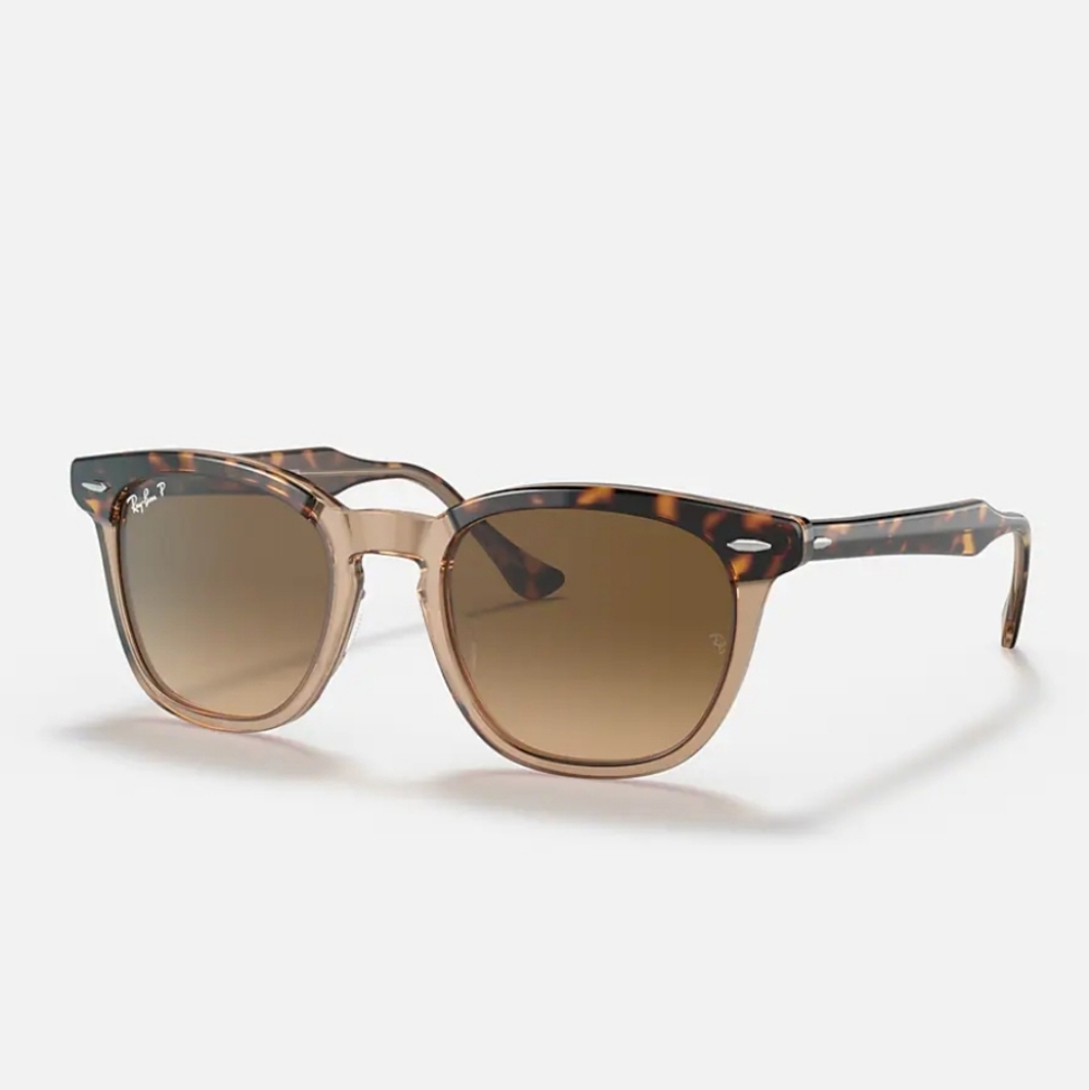 Ray-Ban Tortoise and Brown Sunglasses